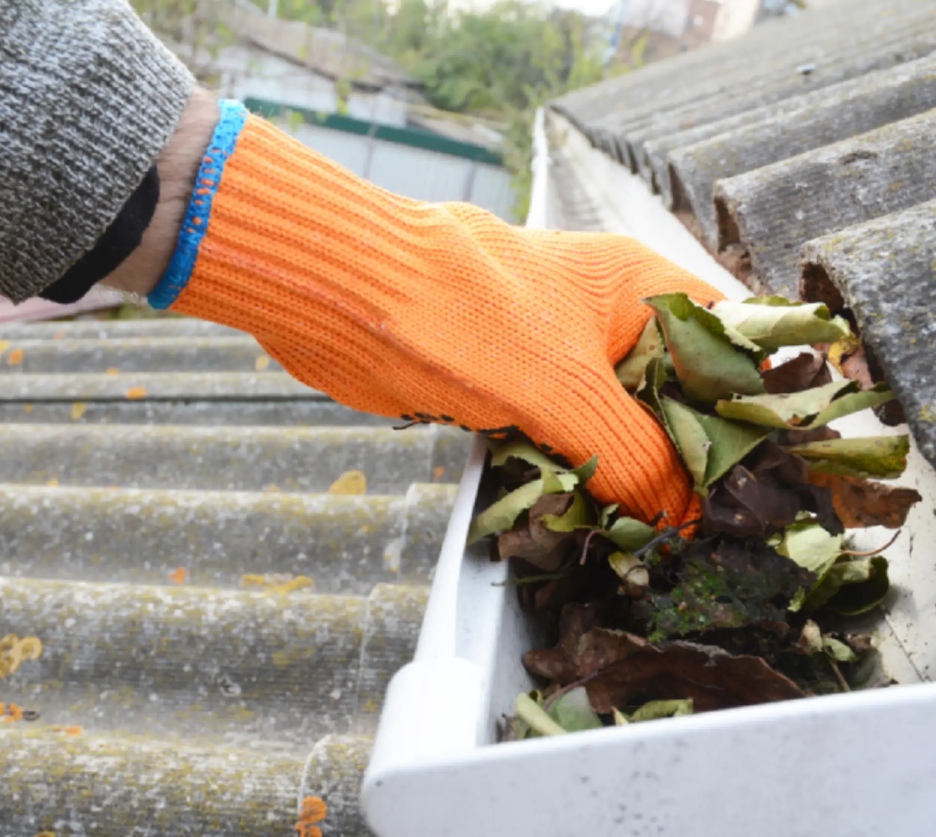 gutter cleaning